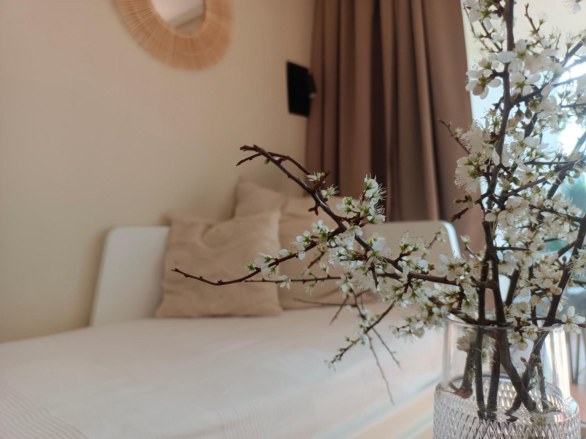 Apartament T1 Bis Avec Piscine Vue Golf Et Montagnes Arcangues Zewnętrze zdjęcie
